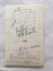 TÜRK HALK MÜZİĞİ SANATÇISI BELKIS AKKALE'NİN ORİJİNAL 2'Lİ FOTOĞRAF SETİ - 14 x 9 cm EBADINDA - BELKIS AKKALE BİR KONSERDE SAHNE ALIRKEN ÇEKİLMİŞ 2 FARKLI KARE