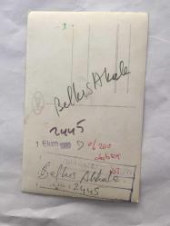 TÜRK HALK MÜZİĞİ SANATÇISI BELKIS AKKALE'NİN ORİJİNAL 2'Lİ FOTOĞRAF SETİ - 14 x 9 cm EBADINDA - BELKIS AKKALE BİR KONSERDE SAHNE ALIRKEN ÇEKİLMİŞ 2 FARKLI KARE