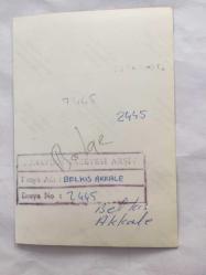 TÜRK HALK MÜZİĞİ SANATÇISI BELKIS AKKALE'NİN ORİJİNAL 2'Lİ FOTOĞRAF SETİ - 12 x 9 cm EBADINDA - BELKIS AKKALE BİR KONSERDE SAHNE ALIRKEN ÇEKİLMİŞ  2 FARKLI KARE