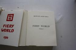 Fiery World I-II-III SERİ SEKLİNDE TAKIM 3 ADET    (ANTİK ODA PLAK KUTUSU