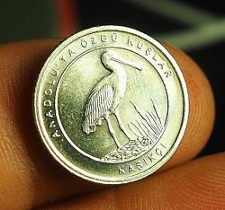 2020 DARPHANE ANADOLUYA ÖZGÜ KUŞLAR 16.5 MM - KAŞIKÇI