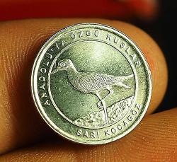 2020 DARPHANE ANADOLUYA ÖZGÜ KUŞLAR 16.5 MM - SARI KOCAGÖZ