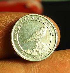 2020 DARPHANE ANADOLUYA ÖZGÜ KUŞLAR 16.5 MM - KIZIL KERKENEZ
