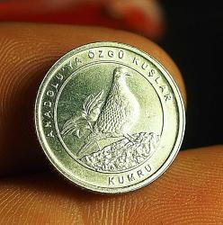 2020 DARPHANE ANADOLUYA ÖZGÜ KUŞLAR 16.5 MM - KUMRU