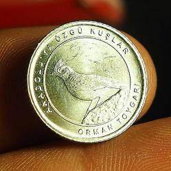 2020 DARPHANE ANADOLUYA ÖZGÜ KUŞLAR 16.5 MM - ORMAN TOYGARI