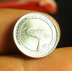 2020 DARPHANE ANADOLUYA ÖZGÜ KUŞLAR 16.5 MM - YILANBOYUN KUŞU