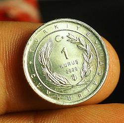 2020 DARPHANE ANADOLUYA ÖZGÜ KUŞLAR 16.5 MM - YILANBOYUN KUŞU
