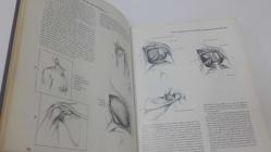 ATLAS of ORTHOPAEDIC SURGERY .. Louis A. Goldstein - Robert C. Dickerson .. (2 e-1981) .. with 1637 illustrations .. Hardcover