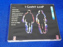 1 GIANT LEAP MÜZİK CD