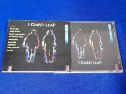 1 GIANT LEAP MÜZİK CD