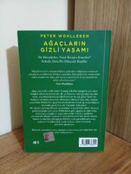 Ağaçların Gizli Yaşamı Ne Hissederler Nasıl İletişim Kurarlar Sırlarla Dolu Bir Dünyadan Keşifler