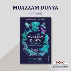 Muazzam Dünya: Beş Duyunun Ötesine Yolculuk