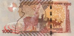 Uganda 1000 ve 2000 Şilin
