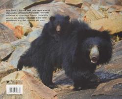 Wild India