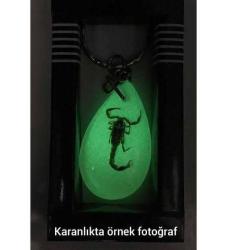 Gerçek Akrep Kehribar Fosforlu Neon Anahtarlık