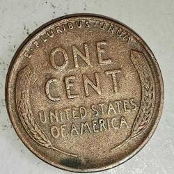 AMERİKA 1946    1  CENT  BUĞDAY CENTİ