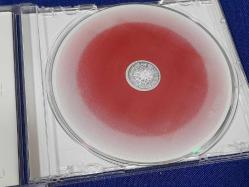 KINGS OF LEON ONLY BY THE NIGHT  MÜZİK CD