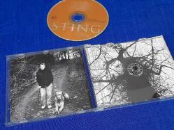 STING MERCURY FALLING MÜZİK CD