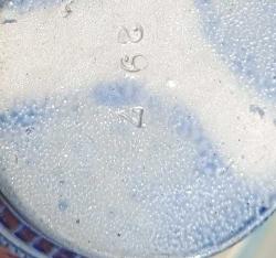 Almanya Gertz Damgalı 0.25 L Tankart