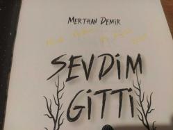 Sevdim Gitti