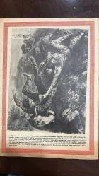 YELPAZE RESİMLİ SALON Mecmuası DERGİSİ - SAYI : 770 - 15 MART 1967 - ALAİN DELON - SEVGİ VE NEFRET FOTOROMANI - NİGAR ULUERER - NESRİN SİPAHİ - SEVİM TUNA - ŞAHANE SERSERİ , YAZAN : MERAL ATLI - VASFİ UÇAROĞLU - MEHMET TANERİ - ÇİÇEKÇİ KIZ FOTOROMANI - AŞK TUZAĞI FOTOROMANI - FATMA GİRİK - AYHAN IŞIK - CÜNEYT ARKIN - SADRİ ALIŞIK - KIRKDOKUZ PALMİYE , ÇEVİREN : MUHARREM ATILKAN - ŞEMSİ İNKAYA - AVNİ DİLLİGİL TİYATROSU - MÜŞFİK KENTER - SEMA ÖZCAN - VAHİ ÖZ - JALE ÖZ , HOROZ NURİ DERLER BANA TİYATRO OYUNU  , YÖNETMEN : MELİH SOMER -GENÇ ŞAİRLER SAYFASI , YÖNETEN : ŞEMSİ BELLİ - NERMİN AKSOY - AYTUNÇ ALTINDAL - NİHALNAZ SÜMEN - RECEP ARSLAN - YAŞAR ZEKİ YILMAZ -UĞUR AKICIER - ŞÜPHE FOTOROMANI - GİUSTO VENZİ ESERİ  - 28 SAYFA