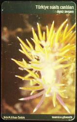 TÜRKİYE SUALTI CANLILARI - DENİZ TAVŞANI ÇİPLİ TELEFON KARTI