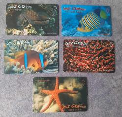 5 ADET DENİZ CANLILARI TEMALI TELEKOM TEFON KARTI KONDİSYON YÜKSEK KOLEKSİYONLUK NADİR