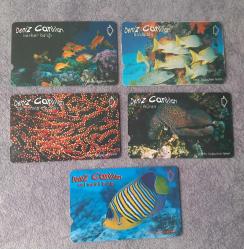 5 ADET DENİZ CANLILARI TEMALI TELEKOM TEFON KARTI KONDİSYON YÜKSEK KOLEKSİYONLUK NADİR