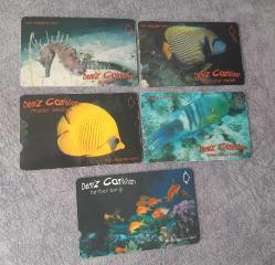 5 ADET DENİZ CANLILARI TEMALI TELEKOM TEFON KARTI KONDİSYON YÜKSEK KOLEKSİYONLUK NADİR