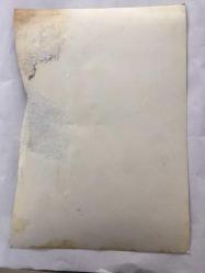 DANSÖZ ve YEŞİLÇAM OYUNCUSU BİRSEN AYDA'NIN ORİJİNAL BÜYÜK BOY FOTOĞRAFI - 24 x 16 cm EBADINDA  - (AÇIKLAMAYI OKUYUNUZ) BİRSEN AYDA BAYILMA ROLU YAPARKEN ÇEKİLMİŞ BİR KARE