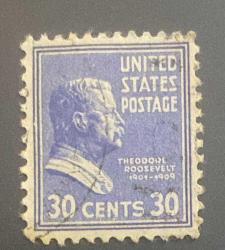 Amerika Birleşik Devletleri Pulu - Unıted States Stamp - Postadan Geçmiş Pul Filateli - DAMGALI - Theodore Roosevelt Temalı Pul , 30 PARA - YABANCI PULLAR-NOSTALJİK DOĞUM GÜNÜ HEDİYESİ