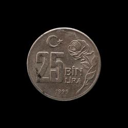 1995 25.000 lira Dünya Hoşgörü Yılı KM#1043