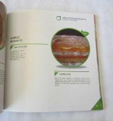 Ordu Mutfağı / Yöresel Ev Yemekleri