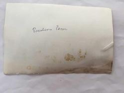 TOLGA AŞKINER ve NİSA SEREZLİ'NİN ORİJİNAL 3'LÜ FOTOĞRAFI SETİ - 18 x 11 cm ve 18 x 9 cm EBADINDA - NİSA SEREZLİ, TOLGA AŞKINER, YILMAZ GRUDA ve DİĞER TİYATRO ARKADAŞLARI  HEP BİRLİKTE BİR PARK ALANINDAYKEN ÇEKİLMİŞ 3 FARKLI KARE