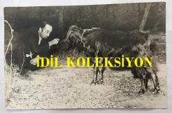 BESTECİ ve ARANJÖR FECRİ EBCİOĞLU'NUN ORİJİNAL 5'Lİ FOTOĞRAF SETİ - 18 x 12 cm ve 17 x 8 cm EBADINDA - FECRİ EBCİOĞLU'NIN TABANCASI ve KEÇİYLE YAPTIĞI BİR OYUN SIRASINDA ÇEKİLMİŞ 5 FARKLI KARE