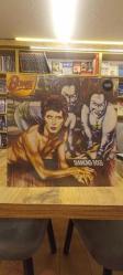 DAVİD BOWİE DIAMOND DOGS PLAK 33 DEVİR JELATİNLİ