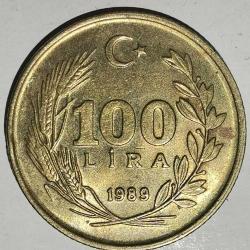 TÜRKİYE  1989    100  LİRA