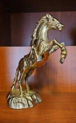 PİRİNÇ ŞAHLANMIŞ AT  KAİDELİ ( Orta boy )