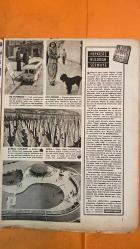 HAYAT HAFTALIK HABER MECMUA, DERGİSİ - ORTA SAYFA POSTER: TÜRKİYE 20 YIL OLDU - SIRA NO: 34 SAYI: 34 TARİH: 31 MAYIS 1957 SOPHIA LOREN - JAMES DEAN - HİKMET FERİDUN ES - İBRAHİM ÇAMLI - SEMİRAL BİLBAŞAR - FİKRET ARIT - AYHAN ERER - HATAY’IN KURTULUŞ YILDÖNÜMÜ - ATATÜRK BULVARI - FRANKFURT MAĞAZA CAM TEMİZLİĞİ - MONTANA RODEO MÜSABAKASI - LONDRA POLİSLERİ VE OYUNCAK OTOBÜS - VİYANA BAĞCILARI VE ŞAPKALI KÜTÜKLER - AYASPAŞA KÖY MODASI - HİLTON YÜZME HAVUZU AÇILIŞI - DOĞRULUK ÜZERİNE SOHBET - ŞEVKET RADO’NUN YAZISI - WINDSOR AİLESİ - MRS. SIMPSON - KRALİÇE ELIZABETH - PARİS ZİYARETİ - HOLLYWOOD - TÜRKİYE CUMHURİYET MERKEZ BANKASI - DOĞAN KARDEŞ YAYINLARI - TİFDRUK MATBAACILIK - REKLAM MORAN - MONNIQUE VENNER - VEZİME FEYZİOĞLU - FEYZİOĞLU AİLESİ - GALATASARAY KULÜBÜ - UNION FRANÇAISE - YAPI VE KREDİ BANKASI - MERKEZ HAKEM KOMİTESİ - DOLMABAHÇE STADI - ERGUN (FENERBAHÇE) - METİN (GALATASARAY) - KADRİ (İSTANBULSPOR) - ABDULLAH (BEYKOZ) - COŞKUN (B -  EKSİKSİZ TAM TAKIM 48 SAYFA