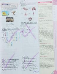 MİRAY YAYINLARI, TYT BİYOLOJİ SORU BANKASI