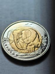 Anadolu'ya Özgü Hayvan Serisi  Fil