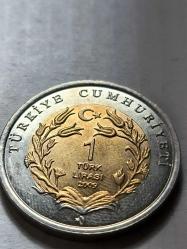 Anadolu'ya Özgü Hayvan Serisi  Fil