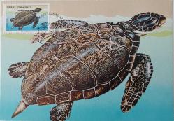1989 DENİZ KAPLUMBAĞALARI CARETTA CARETTA ORİJİNAL POSTA KARTI ANTİYE YY2P ÇOK NADİR