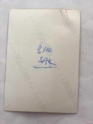 AHU TUĞBA'NIN ORİJİNAL 2'Lİ FOTOĞRAF SETİ  - 12 x 9 cm EBADINDA - AHU TUĞBA, TIMMY ALEJTANIJ İLE EVLENİRKEN NİKAH ŞAHİTLİĞİNİ AVUKAT RAHMİ ÖZKAN YAPTI, BU ÖZEL ANLARDA ÇEKİLMİŞ 2 FARKLI KARE
