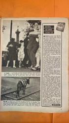 HAYAT HAFTALIK HABER MECMUA, DERGİSİ - SAYI: 42 26 TEMMUZ 1957 SIRA NO: 130 BELINDA LEE - MISHI AUER - LUDMILLA TEHERINA - LINE RENAUD - ŞEVKET RADO - HİKMET FERİDUN ES - İBRAHİM ÇAMLI - SEMİRAL BİLBAŞAR - FİKRET ARIT - AYHAN ERER 23 TEMMUZ 1911 BÜYÜK İSTANBUL YANGINI - DÜNYA GENÇLİĞİ NEREYE GİDİYOR - ACAYİP MAYOLAR - BUZLU LİMONATA - KÜÇÜK CAMİ MİNARESİ - 14 TEMMUZ PARİS KUTLAMALARI - BEKLEYEN YAŞLI HAYVAN - DOĞRU ADAMIN SIKINTISI - HAVADAKİ KIZLAR - KURBAĞA ADAMLAR - SİNEMA KOMEDYENLERİ MÜKAFATI - COURTELINE BÜSTÜ - ÇEKOSLOVAKYA ARKEOLOJİ KAZISI - 9. ASIR KADIN KAFATASI - SAINT GERMAIN DE PRÉS GENÇLİĞİ - İKİNCİ DÜNYA SAVAŞI SONRASI GENÇLİK BUNALIMI - RUDOLPH VALENTINO ETKİSİ - GOETHE WERTHER İNTİHARLARI - AMERİKA VE PARİS GENÇLİK GRUPLAŞMALARI - TİFDRUK MATBAACILIK SANAYİİ AŞ - DOĞAN KARDEŞ YAYINLARI ANONİM ŞİRKETİ  -  EKSİKSİZ TAM TAKIM 48 SAYFA