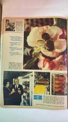 HAYAT HAFTALIK HABER MECMUA, DERGİSİ - ORTA SAYFA POSTER : Yangından Kurtarılan Paha Biçilmez Hazine Topkapı Sarayı bahçesinde bulunan Darphane Müzesi - SIRA NO: 865 TARİH: 3 MAYIS 1973 SAYI: 19  FİLİZ AKIN - NADİYE SÜMER - ERDOĞAN ÖZCAN - MAHMURE KİRALP - CEZMİ KİRALP - EYÜP ATVUR - MİTHAT AKTUNA - HATİCE AKTUNA - YALÇIN KILAN - SEDAT TUNA - DENİZ BANOĞLU  KARAMÜRSEL ÜSSÜNÜN ESRAR PERDESİ ARALANIYOR - FİLİZ AKIN PORTRESİ - HAYAT ARKADAŞI SERVİSİYLE NİŞANLANAN NADİYE SÜMER VE ERDOĞAN ÖZCAN’IN HİKÂYESİ - FLORYA’DA 400 BİN ARIYLA YAŞAYAN EYÜP ATVUR’UN ARICILIK TUTKUSU - TÜRK ARILARININ SALDIRGANLIĞI VE İTALYAN ARI IRKIYLA KIYAS - RİZE KEKİK BALI VE TRABZON NARENCİYE BALI FİYATLARI - TÜRKİYE’DE BAL ÜRETİMİ VE ARICILIK SANAYİSİNİN ÖNCÜLERİ: MİTHAT VE HATİCE AKTUNA - SEDEF PETEK İMAL VE ARICILIK EVİ’NİN KURULUŞU VE MÜNİH KONGRESİ TEMSİLİ - İLK TÜRK SPOR OTOMOBİLİ ANADOL STC-16’NIN TANITIMI VE TEKNİK ÖZELLİKLERİ - TÜRK ARICILIĞINDA GELENEK VE SANAYİLEŞME ARASIN -  EKSİKSİZ TAM TAKIM 48 SAYFA