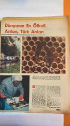 HAYAT HAFTALIK HABER MECMUA, DERGİSİ - ORTA SAYFA POSTER : Yangından Kurtarılan Paha Biçilmez Hazine Topkapı Sarayı bahçesinde bulunan Darphane Müzesi - SIRA NO: 865 TARİH: 3 MAYIS 1973 SAYI: 19  FİLİZ AKIN - NADİYE SÜMER - ERDOĞAN ÖZCAN - MAHMURE KİRALP - CEZMİ KİRALP - EYÜP ATVUR - MİTHAT AKTUNA - HATİCE AKTUNA - YALÇIN KILAN - SEDAT TUNA - DENİZ BANOĞLU  KARAMÜRSEL ÜSSÜNÜN ESRAR PERDESİ ARALANIYOR - FİLİZ AKIN PORTRESİ - HAYAT ARKADAŞI SERVİSİYLE NİŞANLANAN NADİYE SÜMER VE ERDOĞAN ÖZCAN’IN HİKÂYESİ - FLORYA’DA 400 BİN ARIYLA YAŞAYAN EYÜP ATVUR’UN ARICILIK TUTKUSU - TÜRK ARILARININ SALDIRGANLIĞI VE İTALYAN ARI IRKIYLA KIYAS - RİZE KEKİK BALI VE TRABZON NARENCİYE BALI FİYATLARI - TÜRKİYE’DE BAL ÜRETİMİ VE ARICILIK SANAYİSİNİN ÖNCÜLERİ: MİTHAT VE HATİCE AKTUNA - SEDEF PETEK İMAL VE ARICILIK EVİ’NİN KURULUŞU VE MÜNİH KONGRESİ TEMSİLİ - İLK TÜRK SPOR OTOMOBİLİ ANADOL STC-16’NIN TANITIMI VE TEKNİK ÖZELLİKLERİ - TÜRK ARICILIĞINDA GELENEK VE SANAYİLEŞME ARASIN -  EKSİKSİZ TAM TAKIM 48 SAYFA
