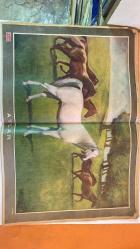 HAYAT HAFTALIK HABER MECMUA, DERGİSİ - ORTA SAYFA POSTER : ATLAR ALI KARSAN - SIRA NO: 457 TARİH: TEMMUZ 1965 SAYI: 28  PAMELA TIFFIN – JODY McCREA – CHERYL MILLER – BOBBI SHAW – BUSTER KEATON – ROY DONAHUE – NATALIE WOOD – DORIS DAY – FRANKIE AVALON – NORMA SHEARER – DOUGLAS FAIRBANKS JR – JOAN CRAWFORD – GRETA GARBO – DEBBIE REYNOLDS – NEZİR SONAKIN – GÜNTER POTSCHKE – HASAN ROSSTI – RIFAT ÇALUKAN – STEWART GRANGER  HAYAT MECMUASI’NDAN 200 AİLEYE PARASIZ TATİL KAMPANYASI – İKİNCİ TERTİP TATİL KUPONLARIYLA 1000’ER LİRA İKRAMİYE – MALİBU BEACH’TE HOLLYWOOD’UN GENÇ KUŞAĞI: JODY McCREA, CHERYL MILLER, BOBBI SHAW, BUSTER KEATON – HOLLYWOOD’UN PLAJ GELENEĞİ VE SANTA MONICA’DAN MALİBU’YA GEÇİŞ – DEBBIE REYNOLDS’TAN SESSİZLİK TERCİHİ ÜZERİNE GÖRÜŞLER – 3. MARMARA BİSİKLET TURU: NEZİR SONAKIN, GÜNTER POTSCHKE, HASAN ROSSTI VE ŞAMPİYON RIFAT ÇALUKAN – BAKIRKÖY YAKINLARINA ÇADIRLARIYLA YERLEŞEN AVRUPALI TURİSTLER  -  EKSİKSİZ TAM TAKIM 48 SAYFA