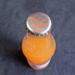 KAYISI KOLA GAZOZ ŞİŞESİ