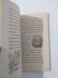 Michael Morpurgo / Dear Olly